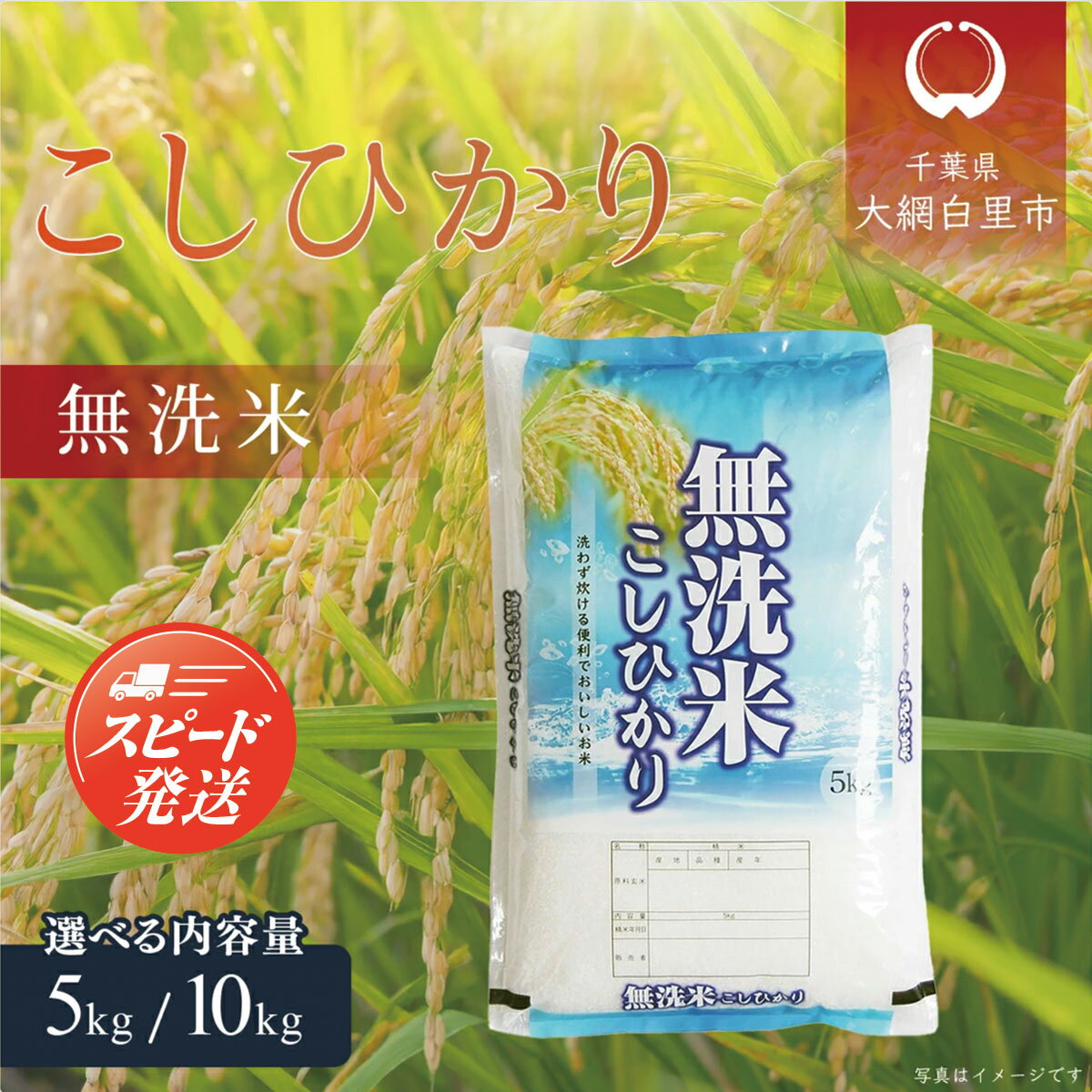 【ふるさと納税】令和6年産 千葉県産「無洗米コシヒカリ」選べる 5kg/10kg（5kg×1袋/2袋）ふるさと納税 米 無洗米 コシヒカリ こしひかり 千葉県 大網白里市