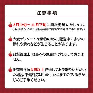 SDGs米糠循環農法で育てた樹上完熟イチジク秀品700g以上（サイズ混合12個）×2箱　潰れにくいイチジク専用容器入り【産地直送2026年8月より順次出荷】_イチジク 秀品 700g 以上 サイズ混合