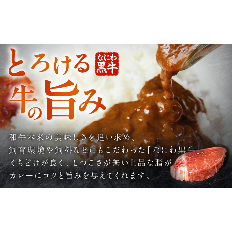 射手矢農園 特製カレー 5箱セット【本格スパイス たまねぎ なにわ黒牛 時短 冷凍カレー 冷凍食品 保存食 常備食 ピリ辛】 G3706_イメージ4
