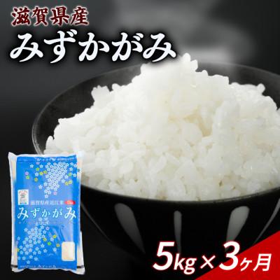 ふるさと納税 彦根市 【毎月定期便】みずかがみ 5kg 【滋賀でとれたお米、近江米!】全3回