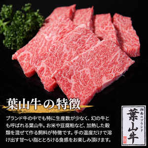 葉山牛 特上ロース 焼肉用冨士屋牛肉店葉山牛【500g】