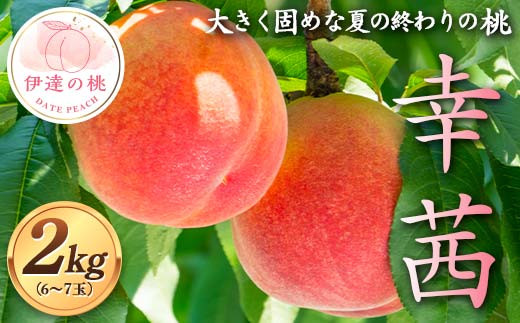 大きく固め 夏の終わりの桃 幸茜 約2kg（6～7玉） 伊達の桃 桃 もも モモ 果物 くだもの フルーツ 国産 食品 F21C-125