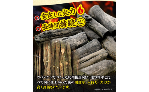 紀州備長炭半丸約15kg望商店《30日以内に出荷予定(土日祝除く)》備長炭紀州備長炭炭約15kg高級白炭---wshg_nzm7_30d_23_72000_15kg---｜備長炭備長炭備長炭備長炭備長