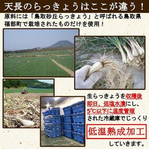 ふぞろいらっきょう甘酢漬け 190gｘ20袋 【低温熟成 無添加】