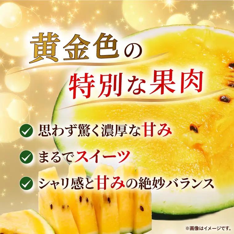 すいか 金色羅皇 2L（1玉） 西瓜 高糖度 シャリ感 甘い 夏限定 旬 フルーツ すいか 人気 産地直送 ギフト 茨城県 阿見町【先行予約｜2026年6月中旬より発送】（76-09）