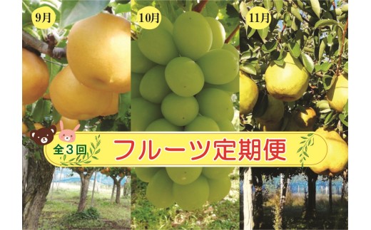 【定期便：全３回】アルコアーナ農園のフルーツ定期便Ｃコース（和梨、シャインマスカット、ラ・フランス）　0148-2606