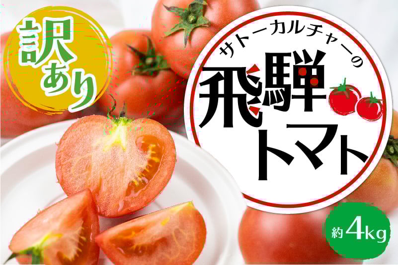 
            《令和8年産先行予約受付中》【訳あり】飛騨トマト 約4kg 6月下旬～11月にかけて収穫次第順次発送 とまと トマト 麗月 訳あり 不揃い 傷 キズ 玉数・大きさおまかせ 15～28玉 サトーカルチャー syun23
          