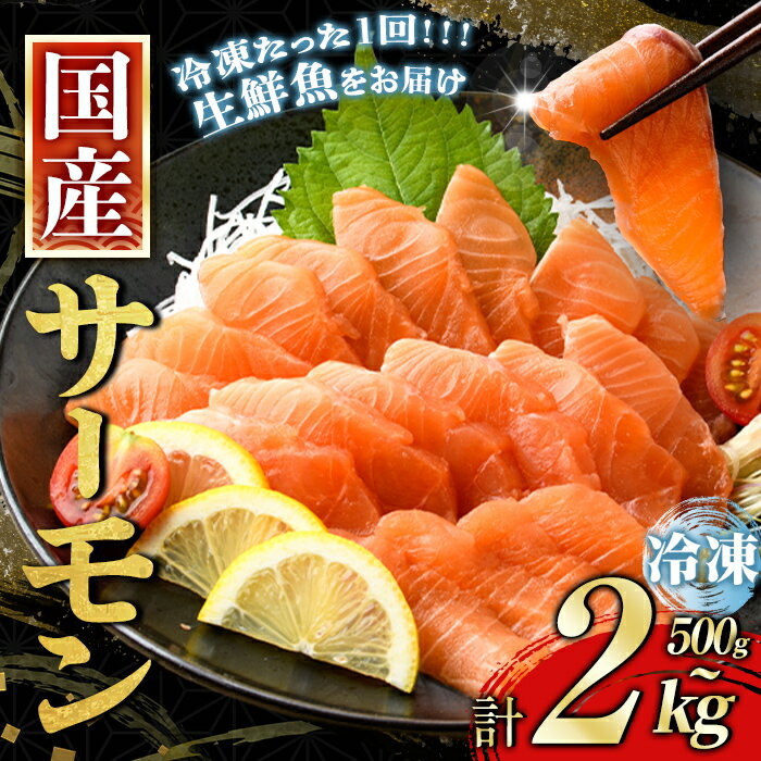 【ふるさと納税】 国産 富士山 サーモン ワンフローズン【冷凍】＜選べる内容量＞ 500g 〜 2kg アトランティック サーモン ポーション アラ 刺身 さしみ 冷凍 小分け サーモン丼 たたき 5000円以内 5000円以下 ふるさと納税限定