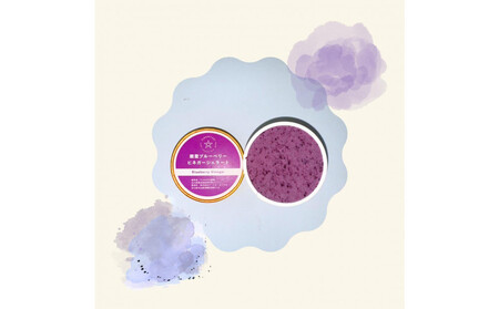 【復興支援】【新商品】能登ブルーベリービネガージェラート(6個)