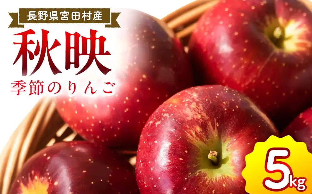 季節のりんご『秋映』（５ｋｇ）（予約制）( りんご 林檎 )