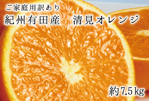 
【ご家庭用訳アリ】紀州有田産清見オレンジ　7.5kg ※2025年3月下旬〜2025年4月中旬頃に順次発送予定(お届け日指定不可)【uot730】
