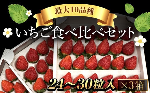 【先行予約/2025年1月配送開始】いちご食べ比べセット（最大10品種の食べ比べ） SMAN004