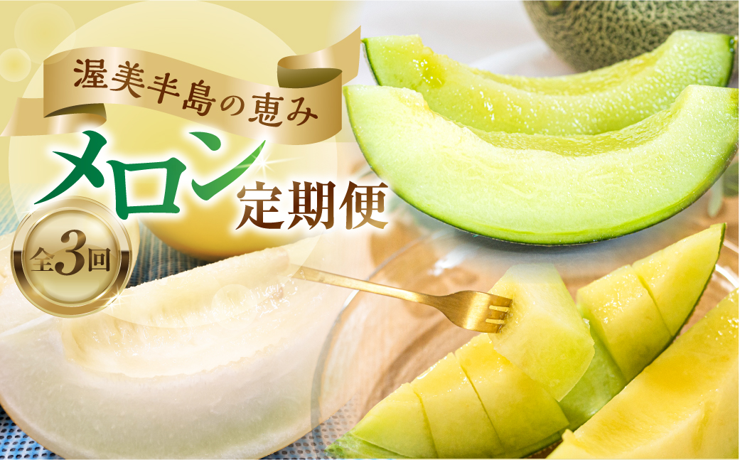 先行予約 渥美半島の恵み メロン 定期便 3回 ( イエローキング / タカミメロン / マスクメロン) 果物 旬 めろん 夏 夏季 食べ比べ 3種 人気 愛知県 田原市 39000円 頒布会