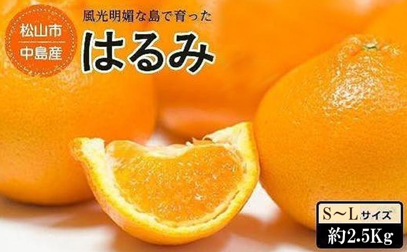 
            ★発送は1月下旬～★松山市中島産 はるみ S～Lサイズ （約2.5kg）
          