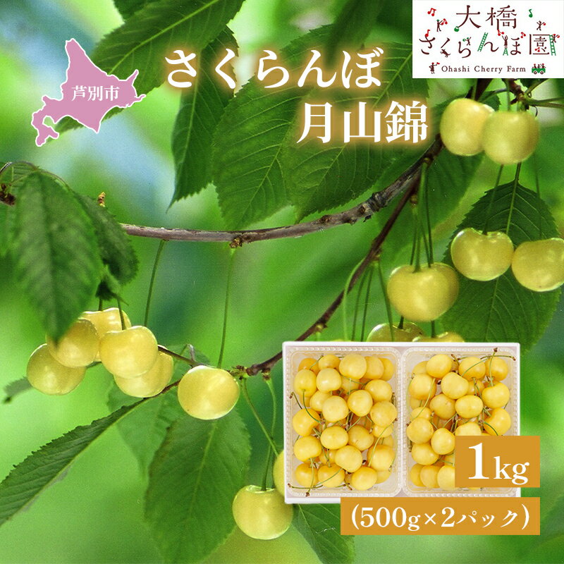 【ふるさと納税】さくらんぼ 先行受付 月山錦 1kg 500g×2パック 農林水産大臣賞 受賞 サクランボ チェリー 果物 果物類 フルーツ デザート 最高級 黄色 大粒 甘い 酸味が少ない さくらんぼの女王 大人気 希少 北海道 芦別市　お届け：2025年7月中旬頃～
