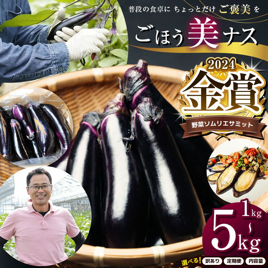 【ふるさと納税】野菜ソムリエサミット金賞「ごほう美ナス」 選べる 内容量 定期便 約1~5kg ｜ 野菜 ナス 茄子 夏秋ナス 長ナス 特産品 なす なすび 野菜 定期便 単品 金賞 受賞 訳あり 訳アリ 選べる ご褒美 栃木県 真岡市 送料無料