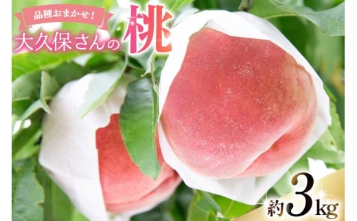 【2026年発送】桃 もも モモ 大久保さんの桃 約3.0kgフルーツ 果物 くだもの 3キロ 山梨県産 産地直送 季節限定 期間限定 農園 直送 新府の桃 山梨 山梨県産 [大久保桃園 山梨県 韮崎市 20745243]