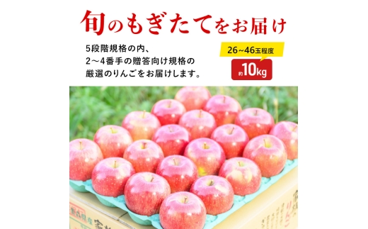 りんご 【11月発送】 蜜入り 糖度13度以上 訳あり品 家庭用 葉とらず サンふじ 約 10kg 【 青森りんご  果物 フルーツ デザート 食後 おやつ 産地直送 糖度測定 褐変 チェック 自宅用  】