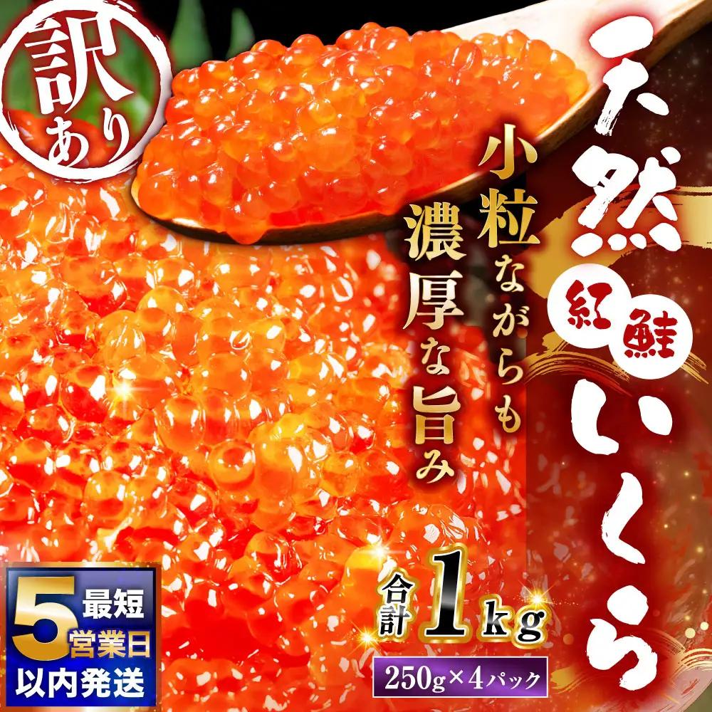 【ふるなびWEEK対象】【 5営業日以内発送 】 紅鮭いくら醤油漬け 1kg （ 250g × 4 ） いくら イクラ 海鮮 天然紅鮭 魚卵 卵 イクラ丼 いくら丼 手巻き寿司 小粒 魚介類 魚介 寿司 丼 冷凍 旨味