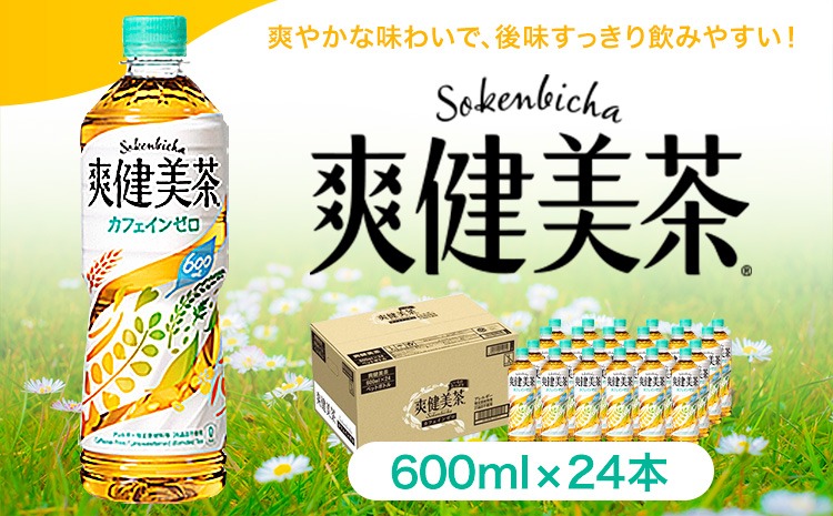 爽健美茶 600ml×24本 コカ・コーラボトラーズジャパン 《30日以内に出荷予定(土日祝除く)》 和歌山県 紀の川市 お茶 茶 ハトムギ 玄米 月見草---wsk_coc4_30d_25_15500_24h---