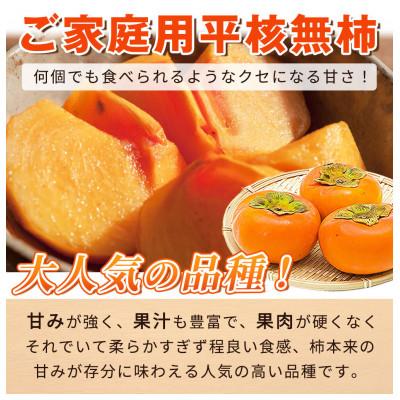 ふるさと納税 那智勝浦町 【ご家庭用わけあり】和歌山秋の味覚　平核無柿(ひらたねなしがき)　約7.5kg |  | 03
