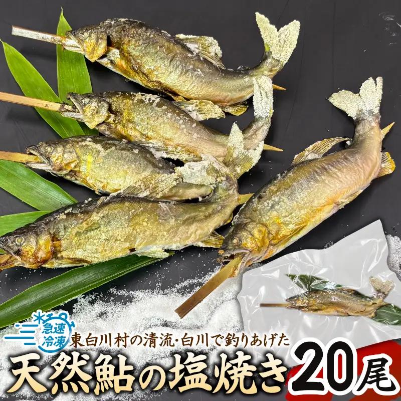 清流白川 天然鮎塩焼き 20尾 冷凍 鮎 あゆ アユ 川魚 焼き魚 炭火焼 塩焼き 清流 魚介 和食 おかず おつまみ グルメ 食品 川釣り 冷凍 急速冷凍 真空パック レンチン 簡単 お手軽 岐阜県産 東白川村