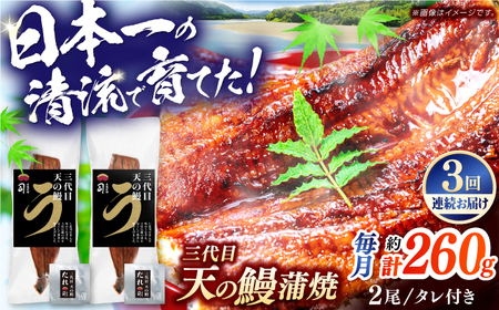 【3回定期便】三代目天の鰻蒲焼 2尾 / 鰻 鰻蒲焼 鰻蒲焼き 鰻 鰻蒲焼 鰻蒲焼き[ATAD059]