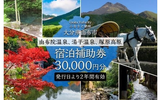 
【由布市（湯布院、由布院、湯平、塚原高原）】ふるさと納税宿泊補助券30,000円分【温泉 観光 旅行 ホテル 旅館 クーポン チケット 宿泊券 旅行券 宿泊 トラベルクーポン トラベル ゆふいん 人気 おすすめ 大分県 由布市 AY003】
