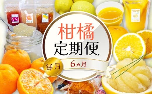 定期便 6回 6ヶ月 果物 ぽんかん 土佐 文旦 レモン はっさく 小夏 ジュース 温州 みかん オーガニック 無農薬 防腐剤 不使用 高知県 須崎市 柑橘 蜜柑 オレンジ フルーツ 果物 お取り寄せ 頒布会 家庭用