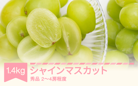 【先行予約】2026年産 令和8年産 シャインマスカット 秀品 約1.4kg (2~4房程度) 山形県産 フルーツ 果物 くだもの ぶどう 葡萄 ブドウ sb-busmx1400 ※沖縄・離島への配送不可