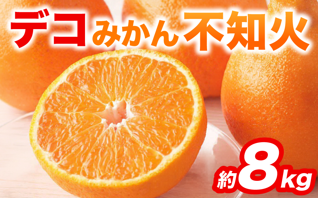 【先行予約】 不知火 デコみかん (デコポン同品種) 約8kg (18～37玉) フルーツ くだもの 果物 みかん 蜜柑 ミカン 柑橘 おやつ デザート 旬 熊本県 八代市 【2027年2月上旬より順次発送】