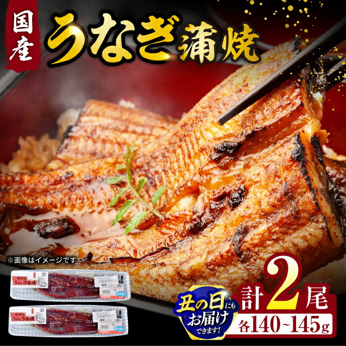 【ふるさと納税】【お中元対象】福田屋食品うなぎ蒲焼2尾(真空パック) / 鰻 うなぎ ウナギ unagi 国産 蒲焼 かばやき うな重 うな丼 ひつまぶし / 諫早市 / 諫早観光物産　コンベンション協会 [AHAB035] 丑の日 土用丑の日