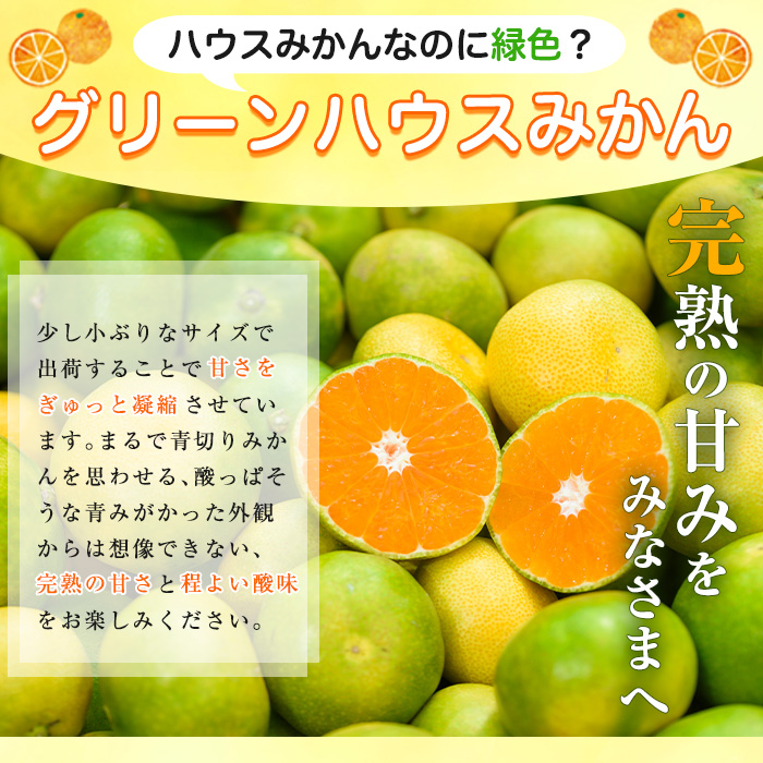 No.148 期間限定！鹿児島県産 グリーンハウスみかん(計3kg) ミ
