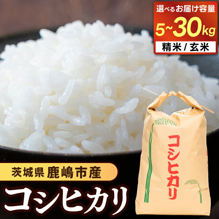 【ふるさと納税】お米 コシヒカリ 選べる 産年 令和7年産/★先行予約★ 令和8年産 精米/玄米 5kg/10kg/30kg 鹿嶋市産【こしひかり 米 コメ ごはん ライス ブランド米 茨城県 鹿嶋市】