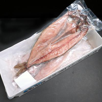 ふるさと納税 根室市 【年内配送可】根室海鮮市場＜直送＞開き縞ほっけ一夜干し2枚 G-28055 |  | 02