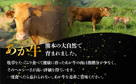 あか牛切り落とし 小分けでお届け（120g×5パック（真空包装）） 計600g