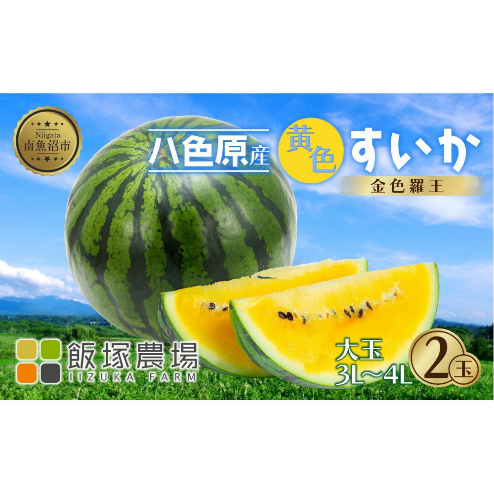 【ふるさと納税】【先行受付】 八色原産 金色羅王 3～4L 2玉 スイカ 大玉 黄色 すいか 西瓜 果物 フルーツ 旬 希少 貴重 甘い 国産 産地直送 ギフト 贈答 自家用 常温 お取り寄せ 送料無料 飯塚農場 新潟県 南魚沼市