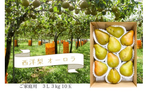 西洋梨（オーロラ）３ｋｇ　１０玉　３Ｌ　ご家庭用　0062-2603