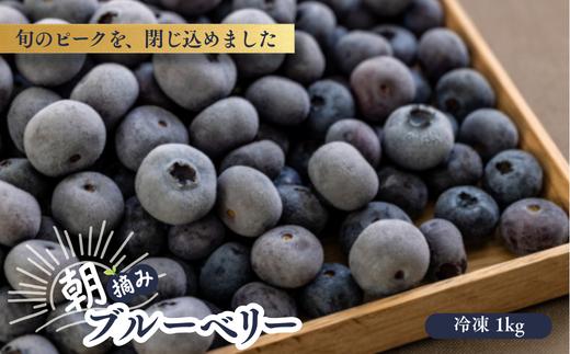 KB05 冷凍ブルーベリー 約1kg【2Lサイズ以上】／2026年8月上旬頃から順次発送｜ 長野県 南信州 松川町 摘みたて 朝摘み 新鮮 安全 産地直送 農家直送 大粒 2Lサイズ以上 冷凍 ブルーベリー 果物 フルーツ