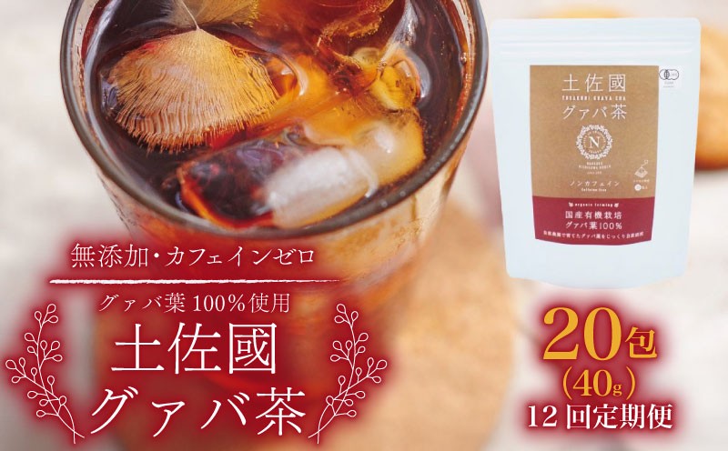 
                  【12回定期便】土佐國グァバ茶 2g×20包 | お茶 飲料 茶 おちゃ 飲み物 グアバ 葉  国産 人気 おすすめ 食物繊維 高知県 南国市
                