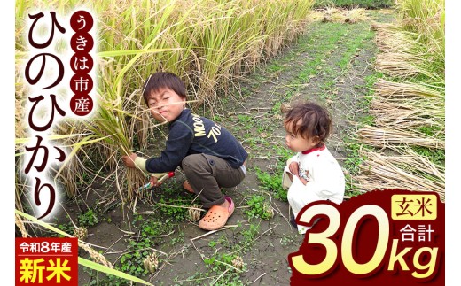 【ふるさと納税】令和8年度産 新米 玄米 ひのひかり 30kg 自然栽培 農薬不使用 米 お米 国産 ご飯 ごはん こめ コメ ヒノヒカリ 健康 食物繊維 腸活 ヘルシー 自然食品 ヴィーガン 家庭用 送料無料 福岡 お取り寄せ うきは市 人気 返礼品 ぶんぶんファーム