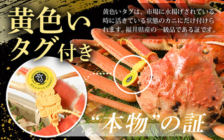 【先行予約】越前がに 約400g × 2杯【冷凍】【2026年11月下旬以降順次発送予定】急速冷凍 越前がに [m36-f002]