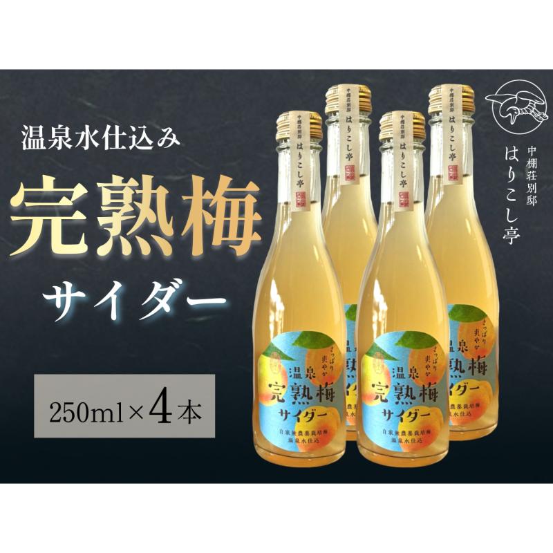【ふるさと納税】梅サイダー　250ml×4本　中棚温泉　長野　信州　小諸