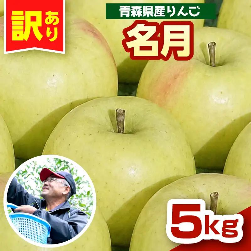 ぐんま名月　【先行受付】 りんご 約5kg訳あり 青森県五所川原市 11月中旬以降発送 ぐんま名月