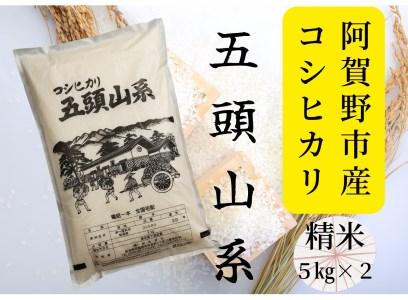 【令和7年産新米】「米屋のこだわり阿賀野市産」コシヒカリ 10kg  9月中旬より順次発送 1E02035