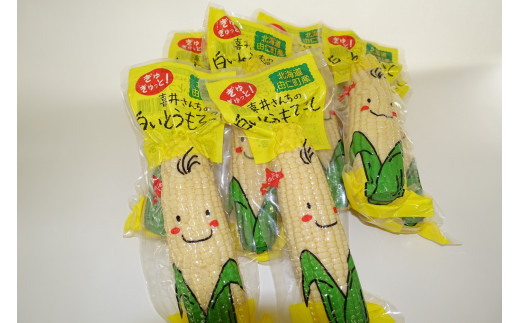 DD06　レトルトとうもろこしセット