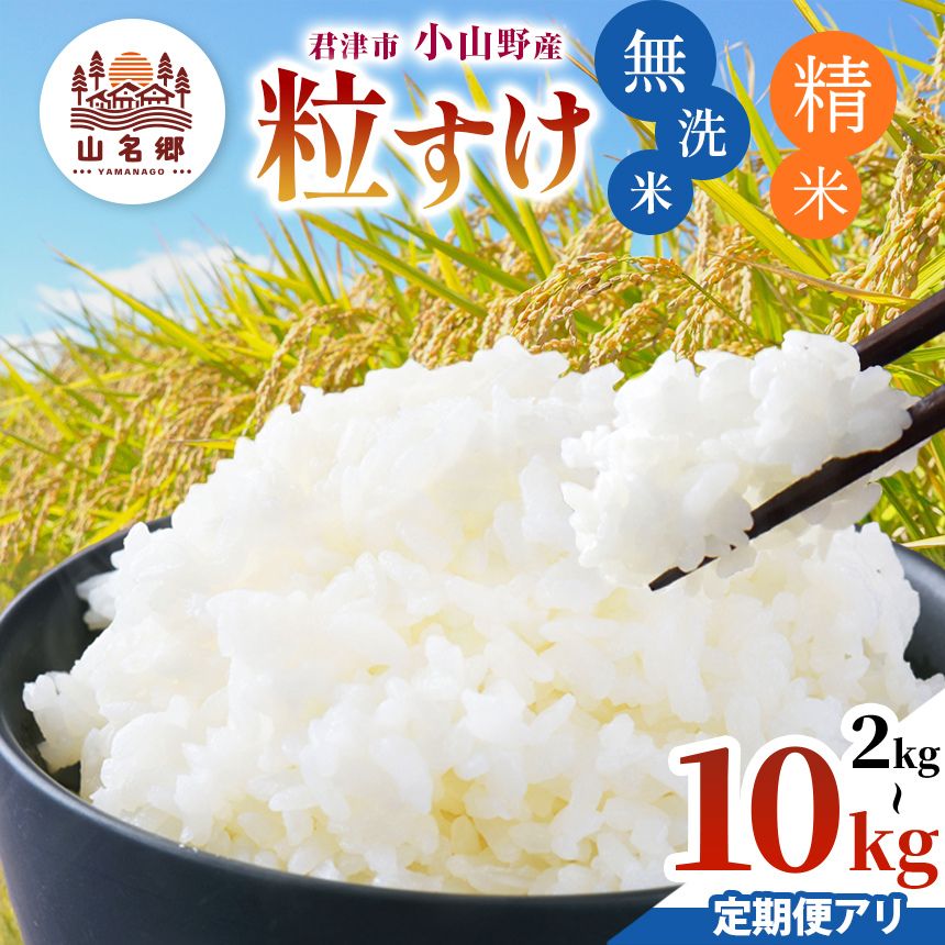 【ふるさと納税】 無洗米 or 精米 定期便 3回 令和7年産 君津市 小山野産 粒すけ 新米 選べる容量 2kg 3kg 5kg 10kg | メディアで紹介 あかかげ農園 山名郷米 千葉稲作 つぶすけ むせんまい 白米 米 コメ お米 イチオシ 千葉県産 きみつ