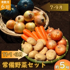 【発送月固定定期便】常備野菜セット じゃがいも 玉ねぎ 人参 かぼちゃ など 約5kg全6回