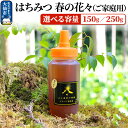 【ふるさと納税】［秋田県大仙市］はちみつ 春の花々（ご家庭用） 選べる容量【150g／250g】