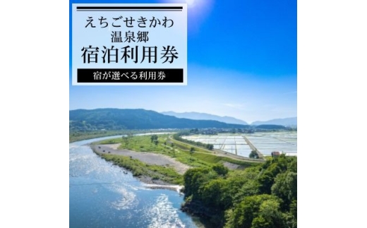 選ばれる温泉体験 75,000円分の温泉宿泊利用券【1711736】